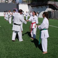 Iniciativa Nihon Budo Sai